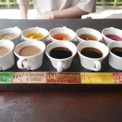 Segara Windhu Coffee Plantation