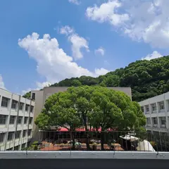 筑紫女学園大学