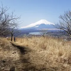 高指山