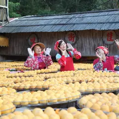 Wei Wei Jia Shi Bing Jiao Yu Nong Yuan