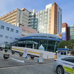 釜山大学校病院