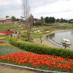 花の中海（淡路島国営明石海峡公園）