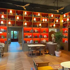 Ananti at Gangnam