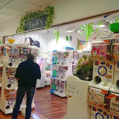 ガチャガチャパラダイス