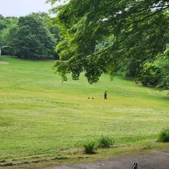 うつのみや文化の森