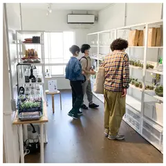 テラリウム専門店 Terrariums（テラリウムス）清澄白河店