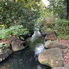 見沼代親水公園