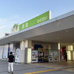 菖蒲パーキングエリア 一般道駐車場