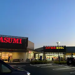 カスミ フードスクエア フレスポ桶川坂田店