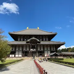東大寺盧舎那仏像