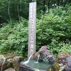 須川岳秘水 ぶなの恵み