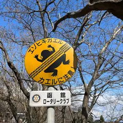函館八幡宮表参道前駐車場