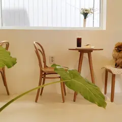 Sijeuni