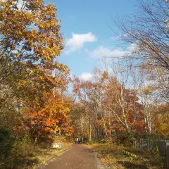 森の交流館 東エリア