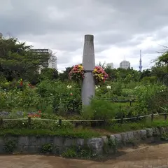 木場公園