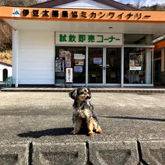 伊豆東ワイン（株）