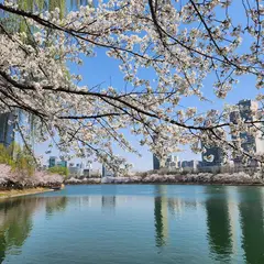 Songpa Naru Park (Seokchon Lake Park)