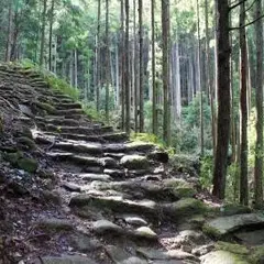 熊野古道　松本峠〜花の窟