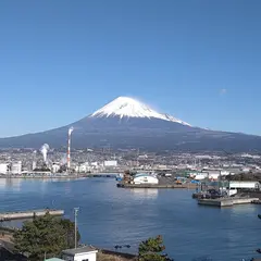 ふじのくに田子の浦みなと公園 駐車場