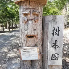 北海道大学苫小牧研究林