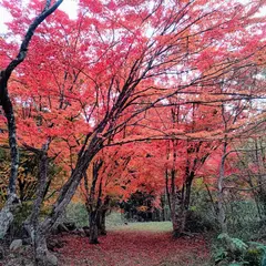 越畑ふるさと村