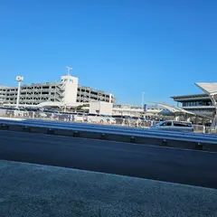 Nrt - P1