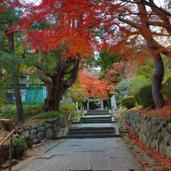 鹽竈神社東参道(裏坂)