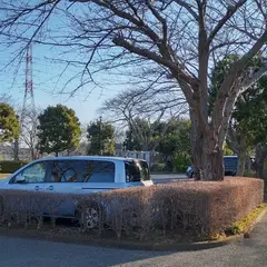 南山公園 駐車場
