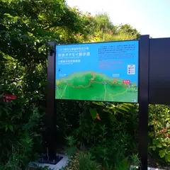 小樽海岸自然探勝路