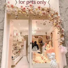 For Pets Only Srl