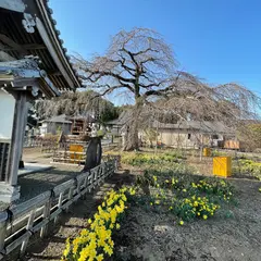 安国寺