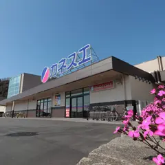 カネスエ 西幡豆店