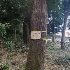 トトロの森 44号地