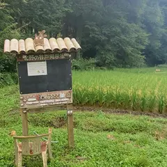 トトロの森 １６号地
