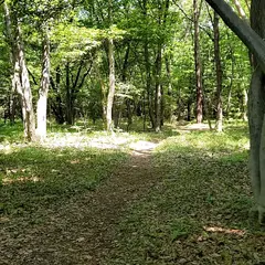 トトロの森 ５２号地