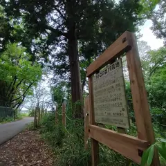 トトロの森 １９号地