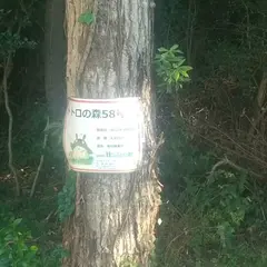 トトロの森 ５８号地