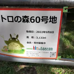 トトロの森 ６０号地