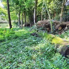トトロの森 ６２号地