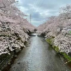 吹上橋