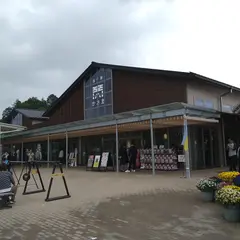 道の駅かさま