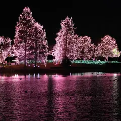 水と緑のふれあい公園