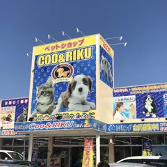 ペットショップCoo&RIKU 宮崎店