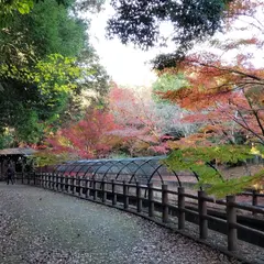 せせらぎ園