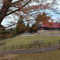 六甲山牧場