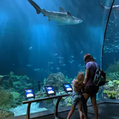 シェッド水族館