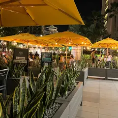 Aloha Beer Waikiki