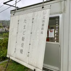 北坂養鶏場たまご販売機
