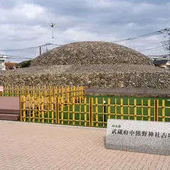武蔵府中熊野神社古墳