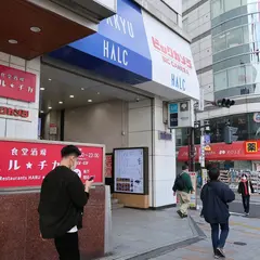 食堂酒場ハル★チカ